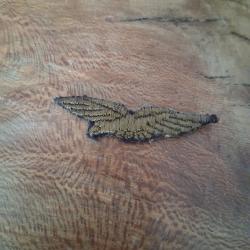 Ancien insigne militaire brod&eacute; - Ailes dor&eacute;es - Arm&eacute;e de l'Air / Aviation