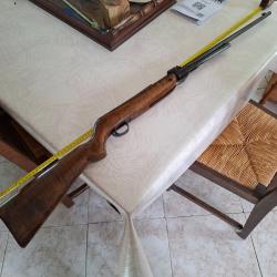 Vente carabine air comprim&eacute; de collection