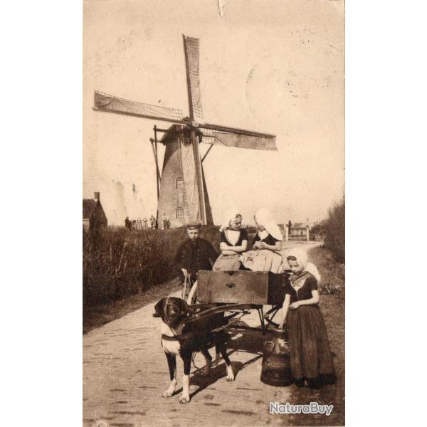 Carte postale ancienne - Chien de trait, Pays-Bas -N�8722