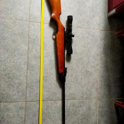 DIANA 45