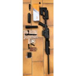 Carabine ATA ALR 308W