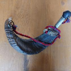 Gourde corne de b&eacute;lier