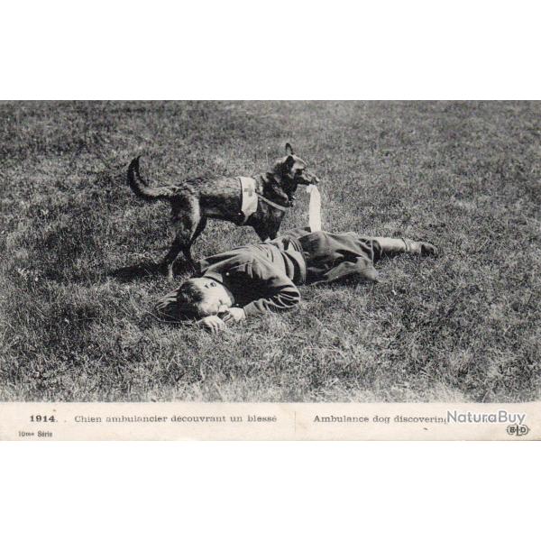 Carte Postale Ancienne - Chien Ambulancier 1914 -N�8770