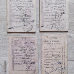 Lot de 3 anciennes cartes individuelles d'alimentation + 1 de textile ann&eacute;es 1942 et 1946