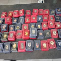 Insignes militaires