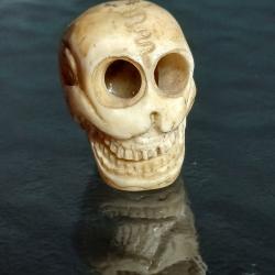 Petit cr&acirc;ne sculpt&eacute; en os de yak, d&eacute;but du XXe si&egrave;cle