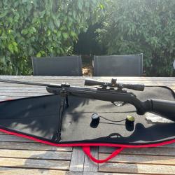 Carabine Gamo Shadow IGT 4,5mm + lunette 4x32 WR