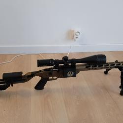 RUGER RIMFIRE PRECISION 22LR