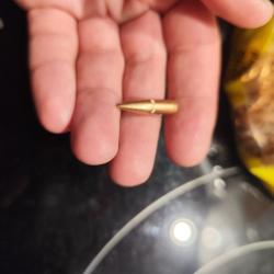 Ogives.224 campro 62 grains