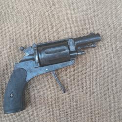 Revolver 6mm velodog puppy