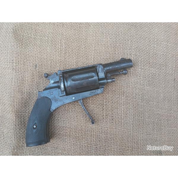 Revolver 6mm velodog puppy