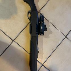 carabine remington 750