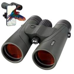 Jumelles ED 12x50 pour adultes, optiques HD professionnelles, &eacute;tanches IPX7, haute puissan - Vert