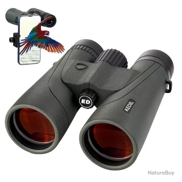 Jumelles ED 12x50 pour adultes, optiques HD professionnelles, �tanches IPX7, haute puissan - Vert