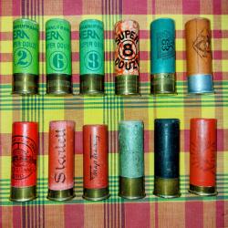 Lot de 12 cartouches calibre 12 pour collection.