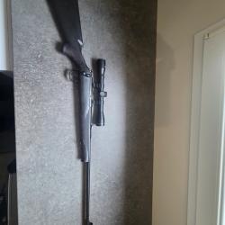 Vends carabine Norinco 22lr