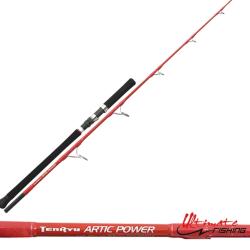 Canne spinning Tenryu artic power