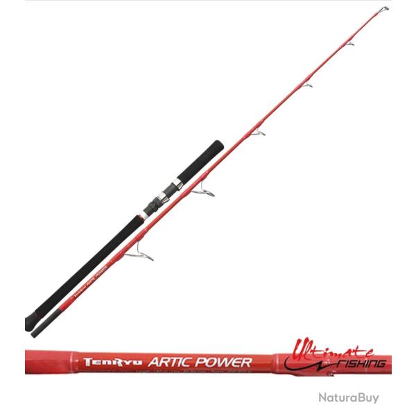 Canne spinning Tenryu artic power