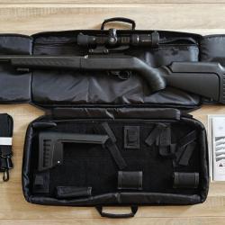 Ruger 10/22 takedown target 22lr