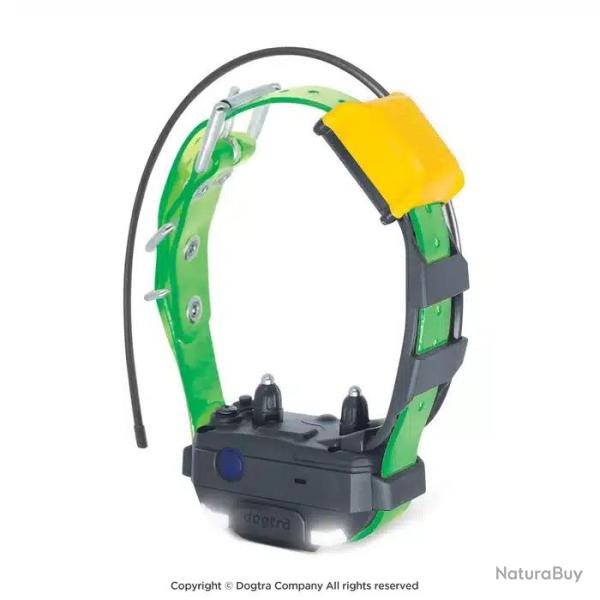 COLLIER SUPLEMENTAIRE PATHFINDER 2 MINI DOGTRA