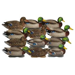 Formes de canard colvert Pro-Grade XD Series HARVESTER x12 - GHG