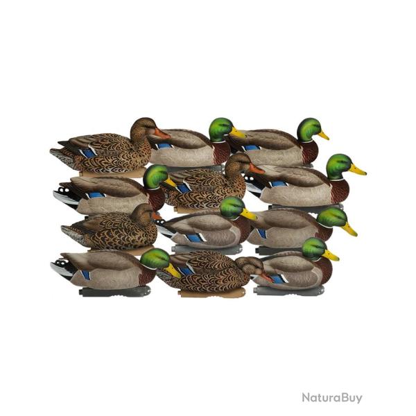 Formes de canard colvert Pro-Grade XD Series HARVESTER x12 - GHG