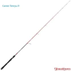 Canne spinning TENRYU SAYAKA EVO