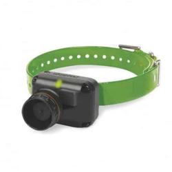 COLLIER DE DRESSAGE ET BEEPER 2600TB DOGTRA