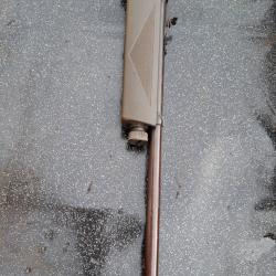 Carabine 4.5