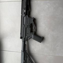 Pw9 Zion Arms