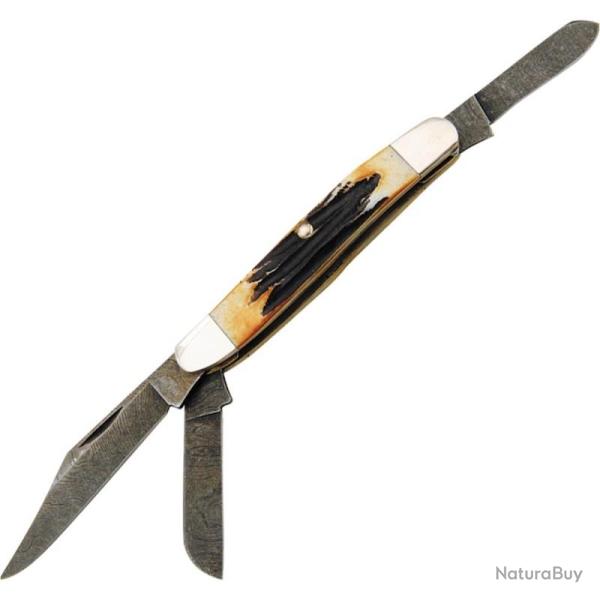 Couteau Bear & Son Stockman Lame Damas Manche Os Fa�on Bois de Cerf Ambr� Slip Joint USA BC547D