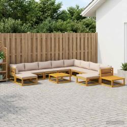 Ensemble de canap&eacute;s, 12 pi&egrave;ces, naturel, en bois d'acacia massif, pour le jardin