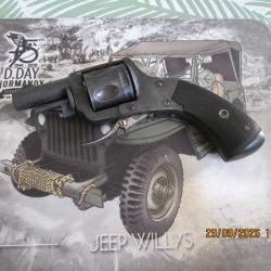 revolver bulldog 320