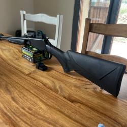 Rossi Gallery 22lr point rouge + 400 munitions + cibles