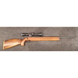 Unique carabine 22 LR  avec lunette 3-9x40 gamo.