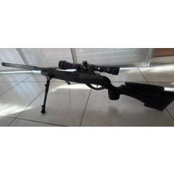 Gamo hpa storm igt