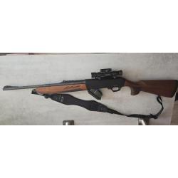 carabine semi automatique