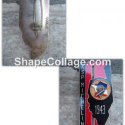 insigne Promotion asp Michelin 1943 x