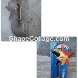 insigne Promotion KROTOFF CNE EOR COET TAP Aures 1956  x