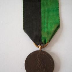 m&eacute;daille  politique RARE   LIGUE DES PATRIOTES     QUI VIVE ? FRANCE   cr&eacute;e par  Paul D&eacute;roul&egrave;de x