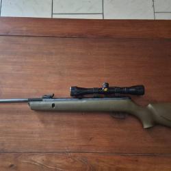 Carabine a plomb