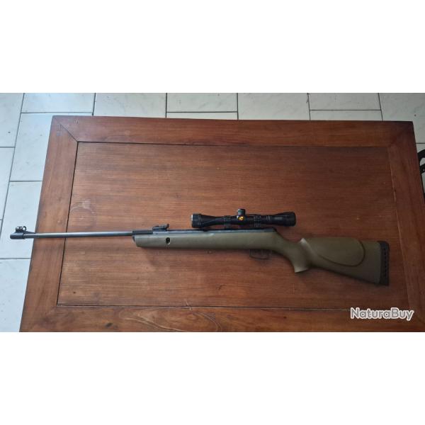 Carabine a plomb