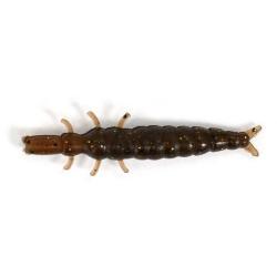 DAPPY CADDISFLY S - 955 MUDBUG