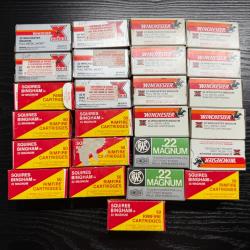 Munitions 22 magnum