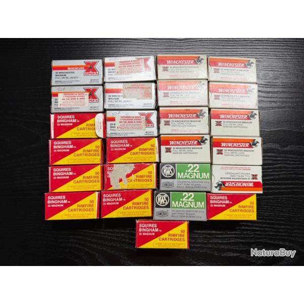 Munitions 22 magnum