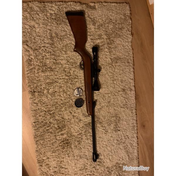 Carabine � plomb