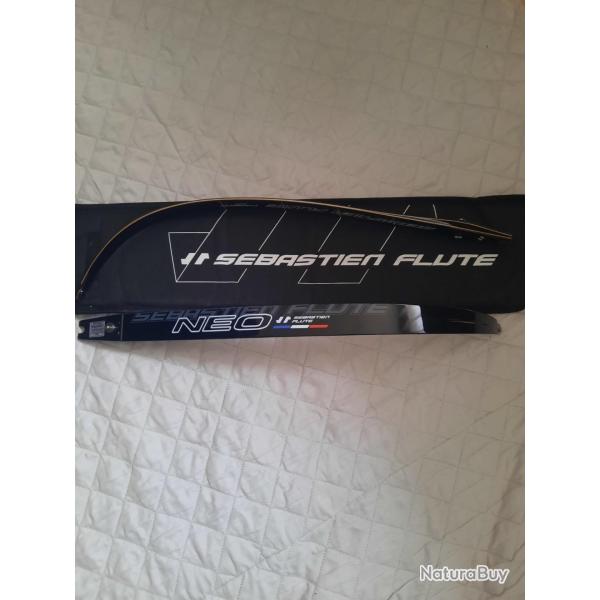 Branches s�bastien FLUTE n�o carbone vood 70/24