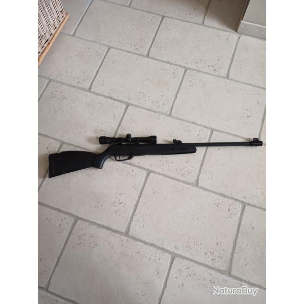 carabine � plombs Gamo Black Bear 4.5mm 19.9j