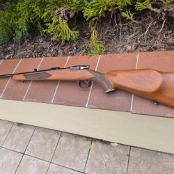 Carabine Parker Hale 243 win