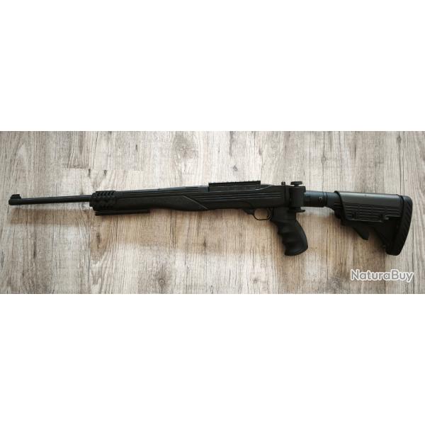 Ruger 10/22 et kit ATI